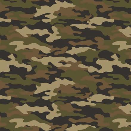Camouflage kategorisi için resim